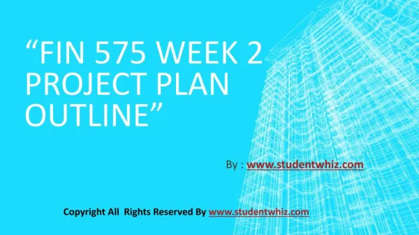 fin 575 week 2 project plan outline