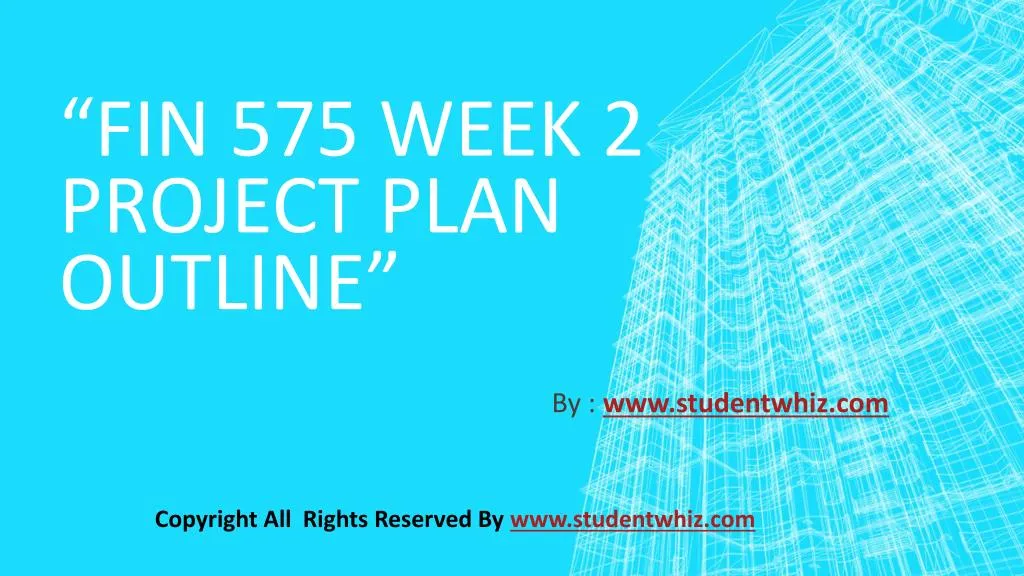 fin 575 week 2 project plan outline