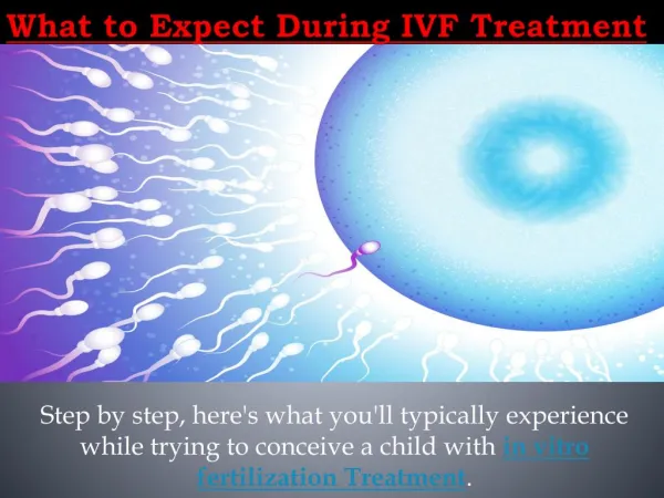 What to Expect During IVF Treatment