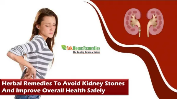 Herbal Remedies To Avoid Kidney Stones And Improve Overall Health Safely