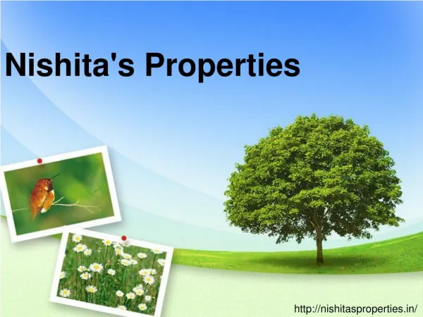 Nishita's Properties