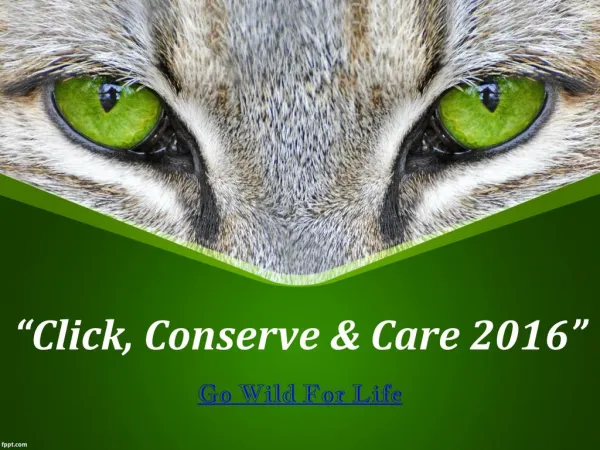 Click, Conserve and Care 2016