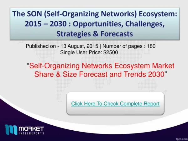 Self-Organizing Networks Ecosystem Market 2030