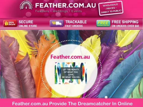 Feather.com.au Provide The Dreamcatcher In Online