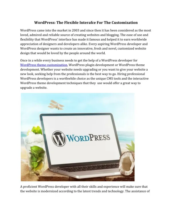 WordPress: The Flexible Interafce For The Customization