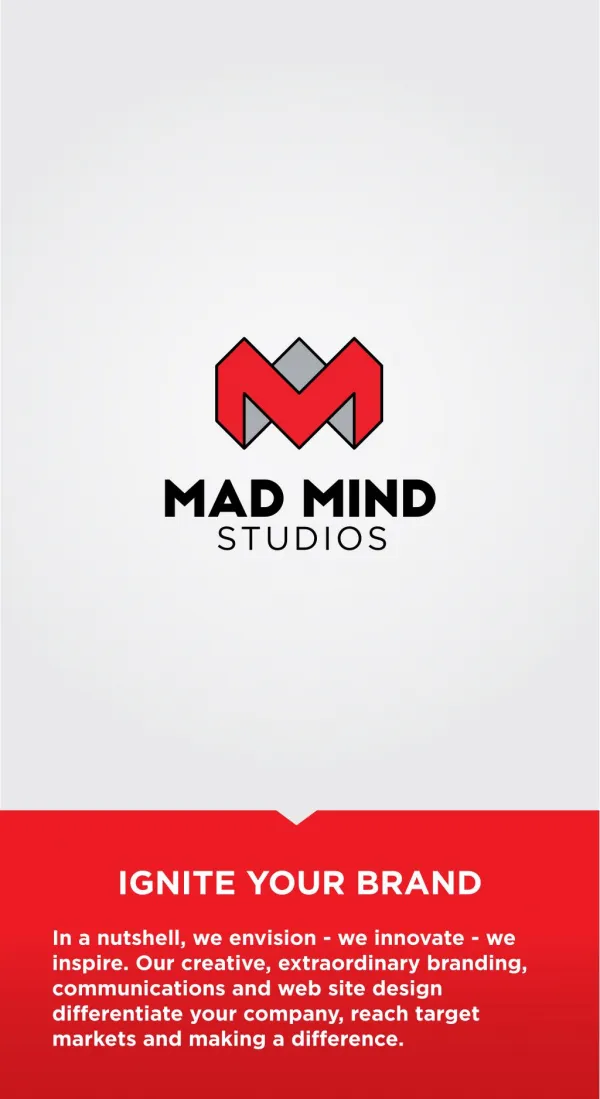Mad mindstudios - web design, logo design and branding design los angeles