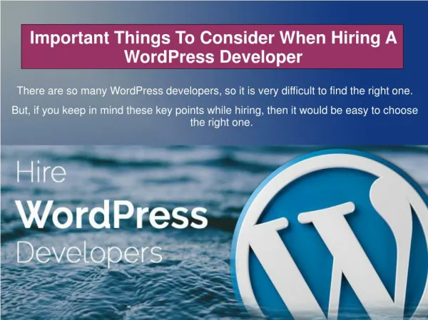 Important Things To Consider When Hiring A WordPress Developer