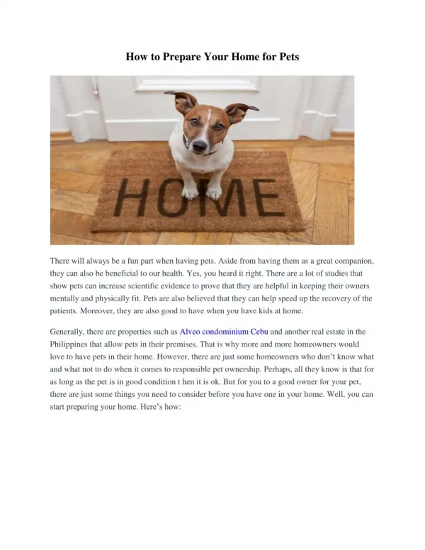 How to Prepare Your Home for Pets