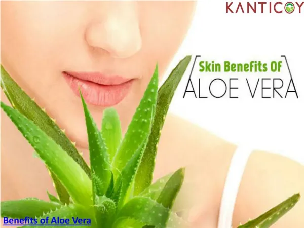 Benefits of Aloe Vera For Skin
