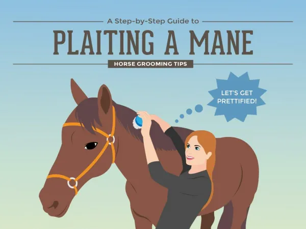 A Step by Step Guide to Plaiting a Mane