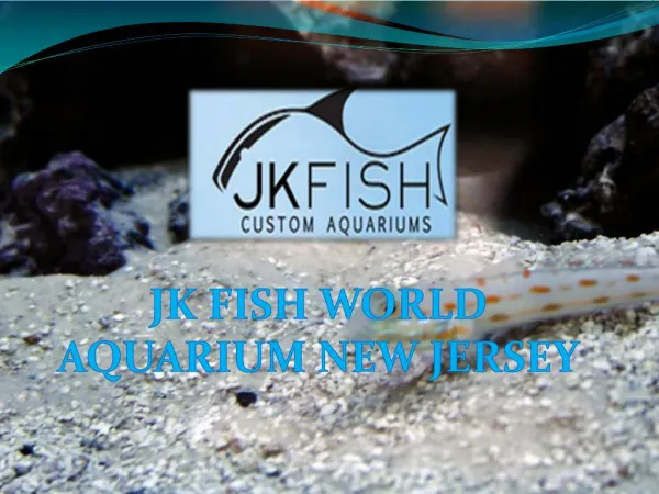 JK Fish World - Aquarium New Jersey