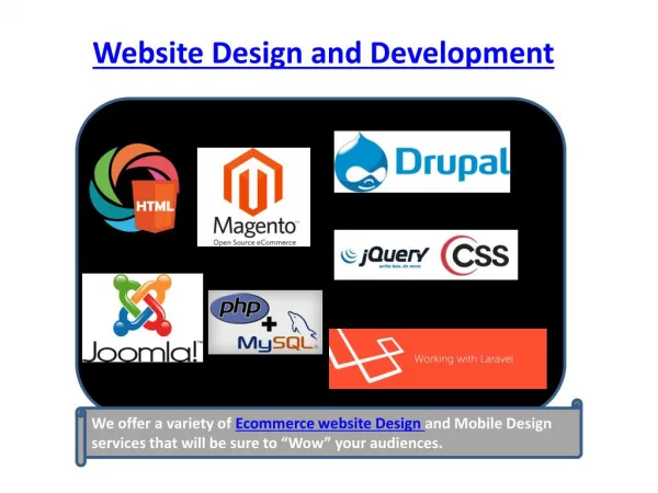 Ecommerce Website Design services