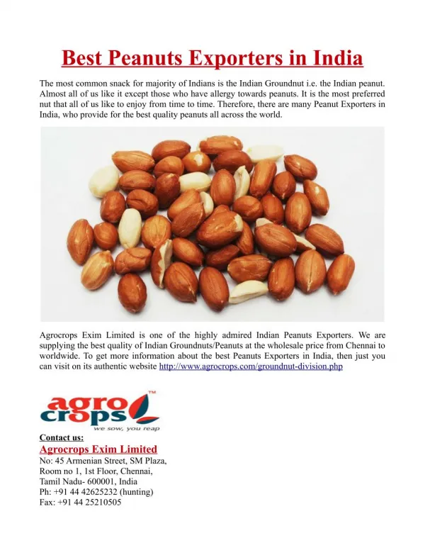 Best Peanuts Exporters in India