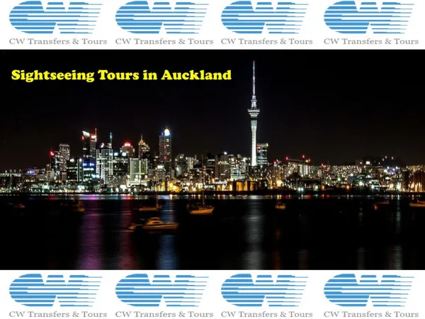 Sightseeing Tours in Auckland