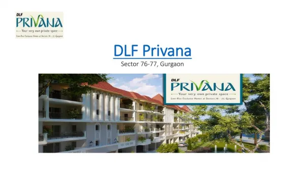 Dlf Privana Residential Property in Gurgaon