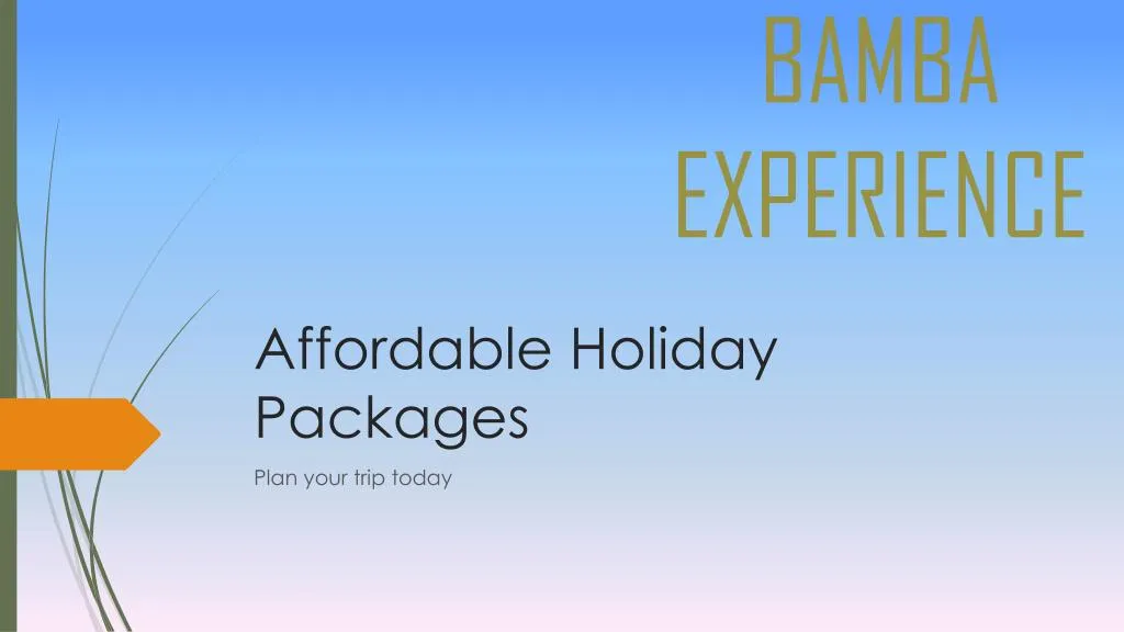 affordabl e holiday packages