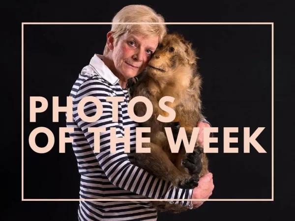 photos of the week