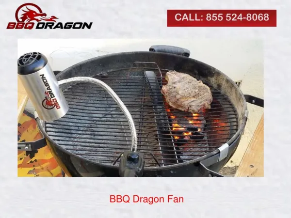 BBQ Dragon Fan