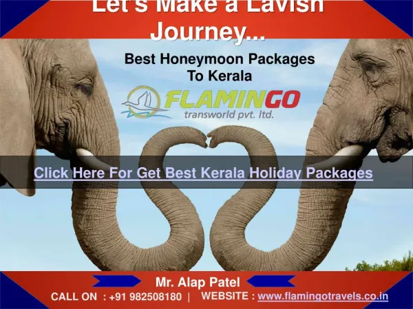 Lets Make a Lavish Journey to Kerala | Flamingo Travels
