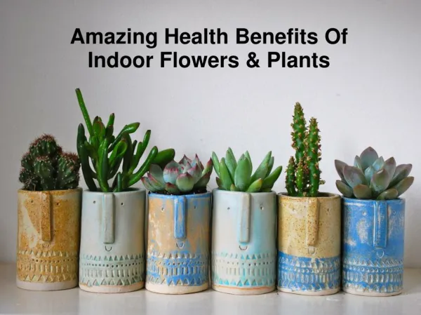 Amazing Health Benefits Of Indoor Flowers & Plants