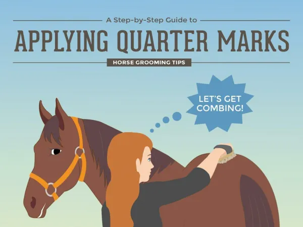 A Step by Step Guide to Applying Quarter Marks