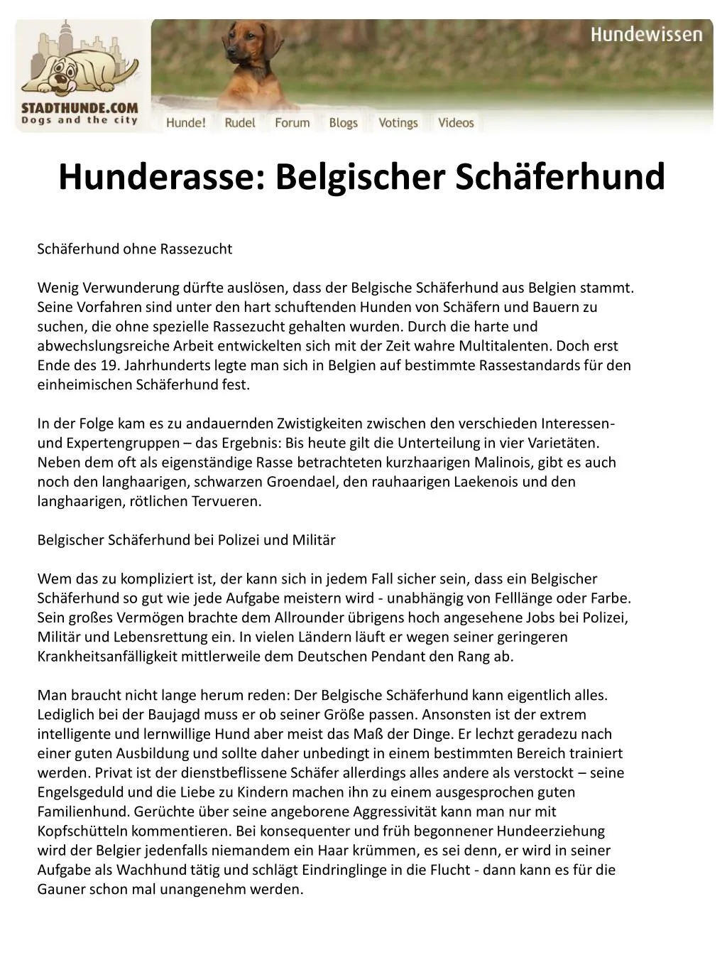 hunderasse belgischer sch ferhund