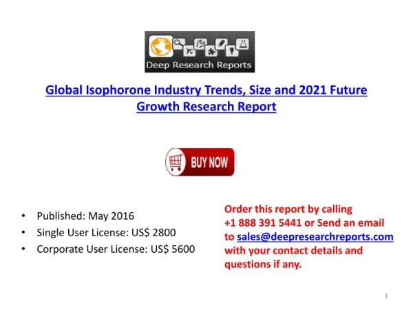 2016 World Isophorone Industry Investment Feasibility and Demand Analysis