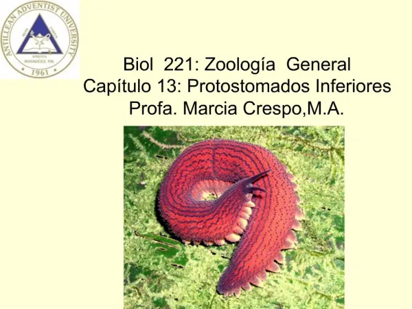 Biol 221: Zoolog a General Cap tulo 13: Protostomados Inferiores Profa. Marcia Crespo,M.A.