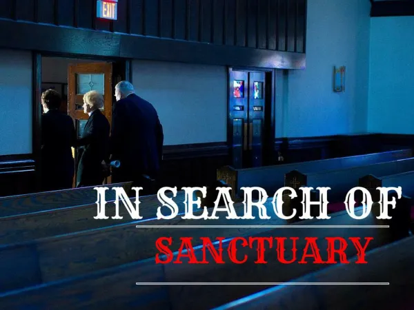 In Search of Sanctuary