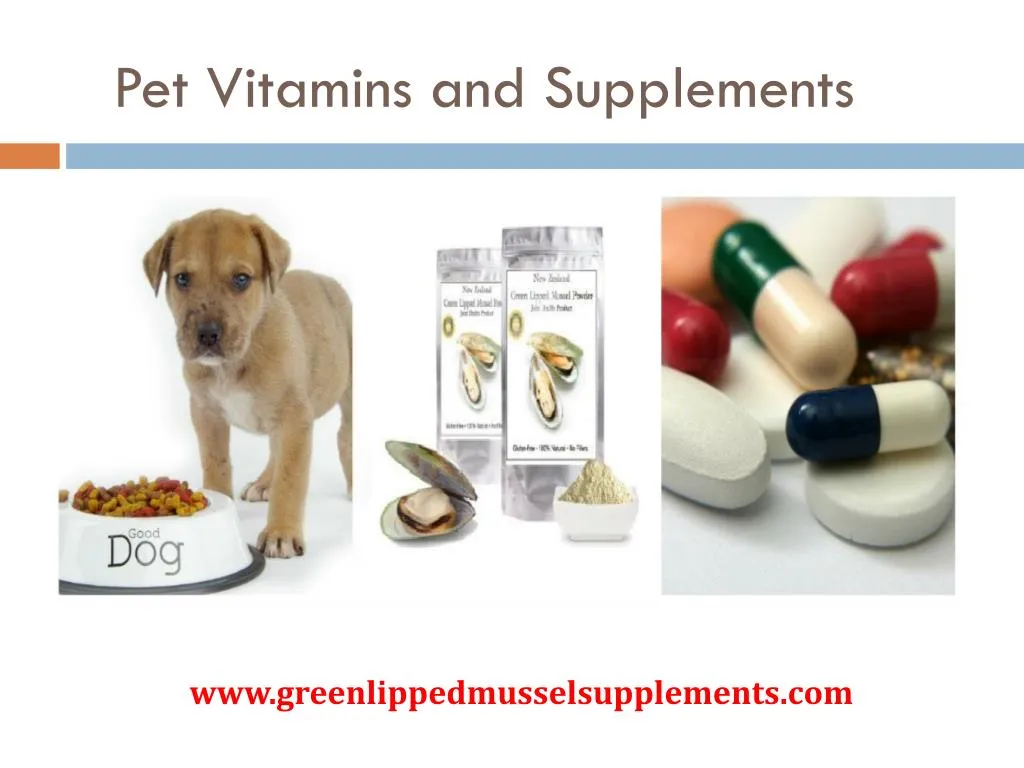 pet vitamins and supplements