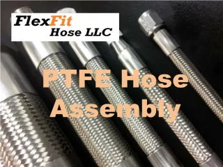 PTFE Hose Assembly