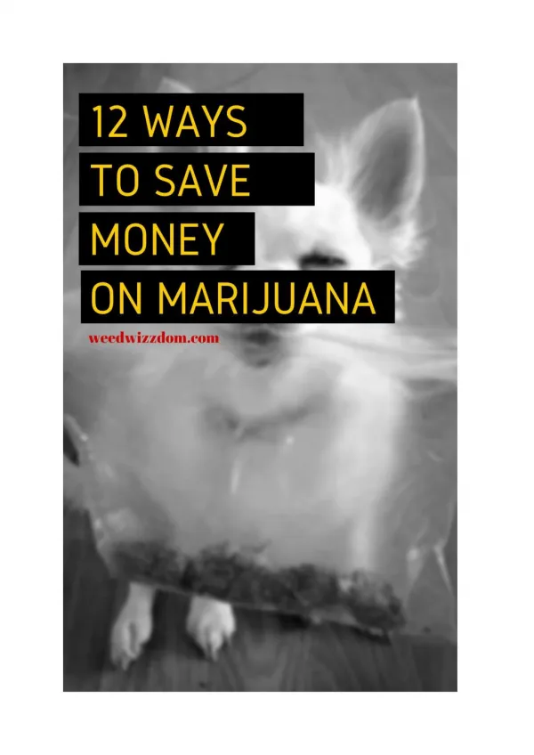 12 Awesome Ways How To Save Money on Marijuana