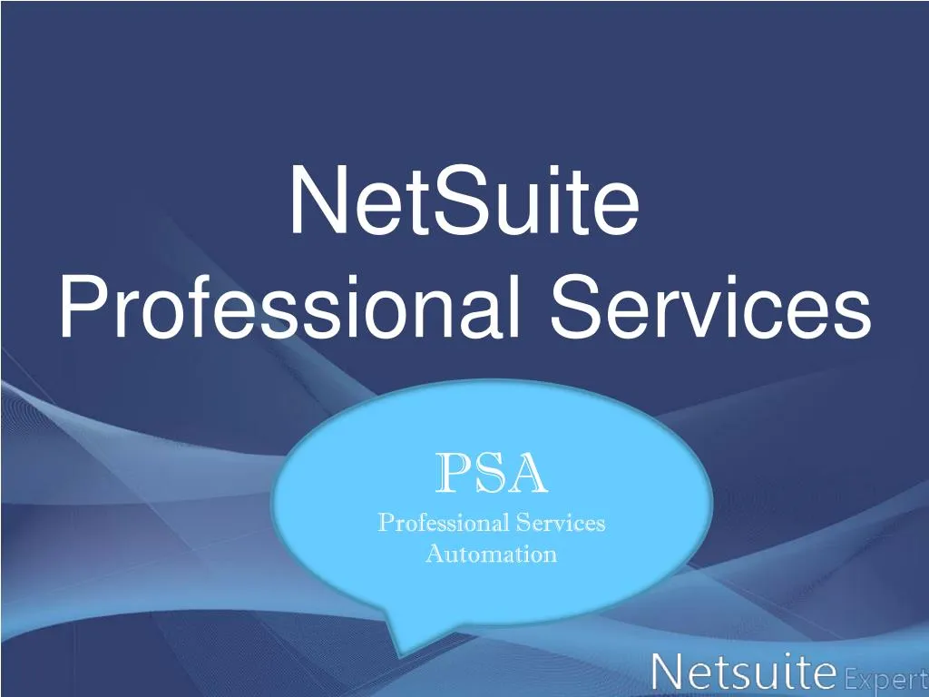 netsuite professional services
