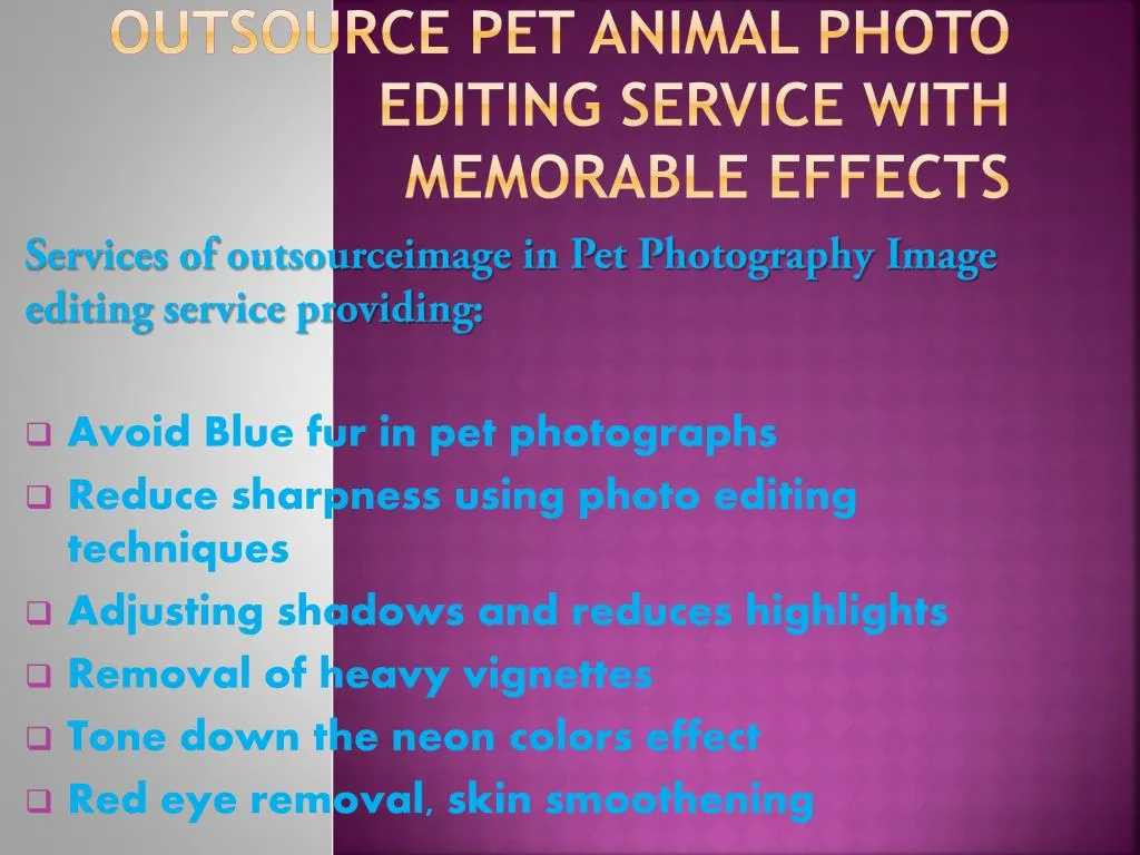 outsource pet animal photo editing service with memorable effects