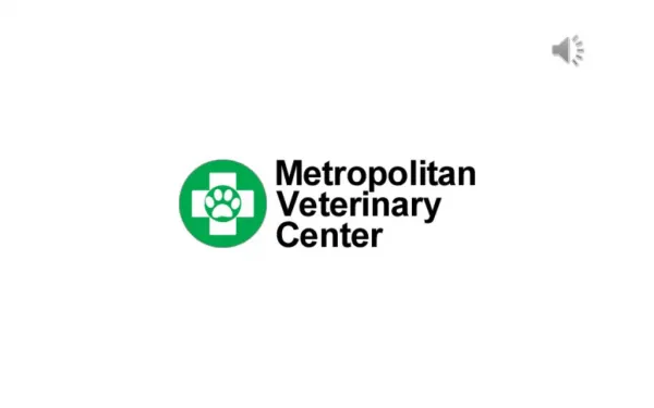 Veterinary Internal Medicine - Metropolitan Veterinary Center