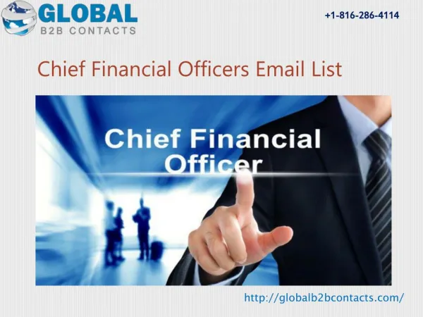 Chief Financial Officer Email & Mailing List