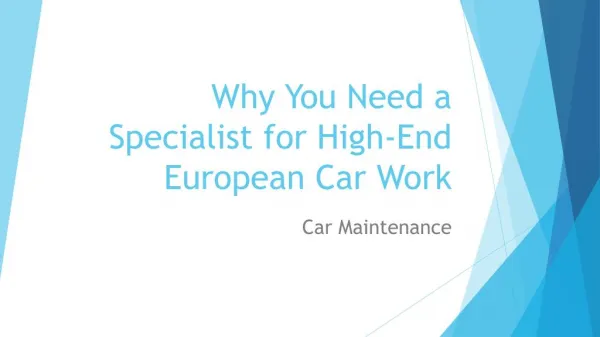 Why You Need a Specialist for High-End European