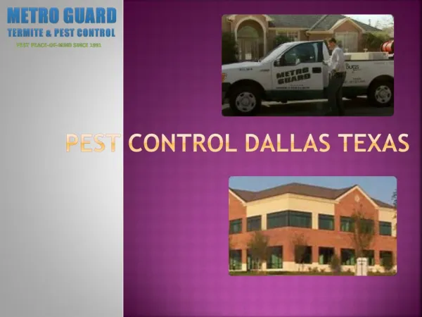 Termite Treatments Dallas
