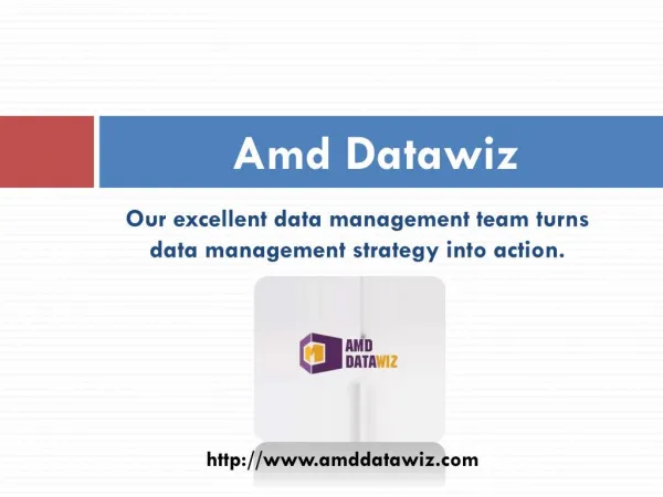 Business Intelligence and Data Management Company