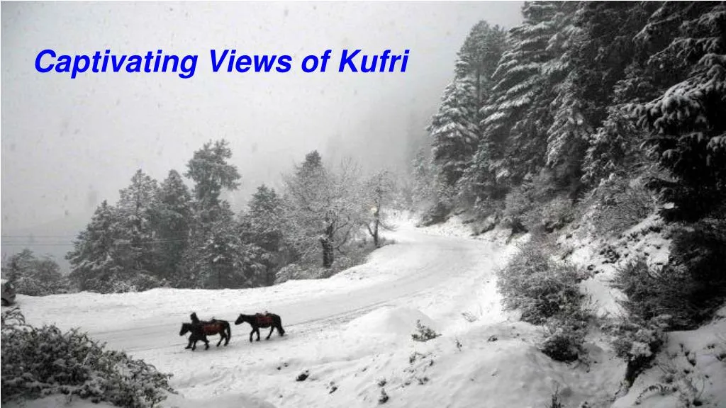 captivating views of kufri