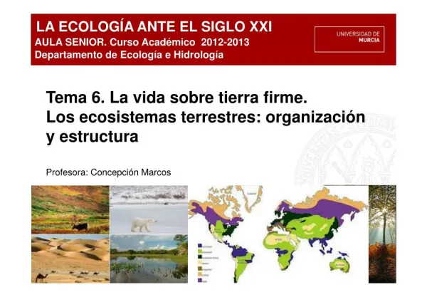 ecologia y sus elementos