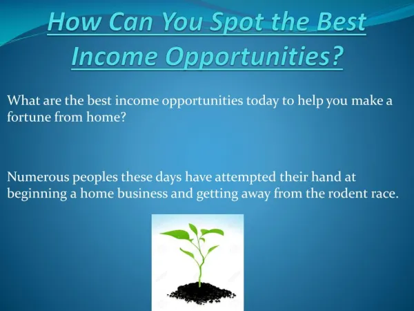 How Can You Spot the Best Income Opportunities?