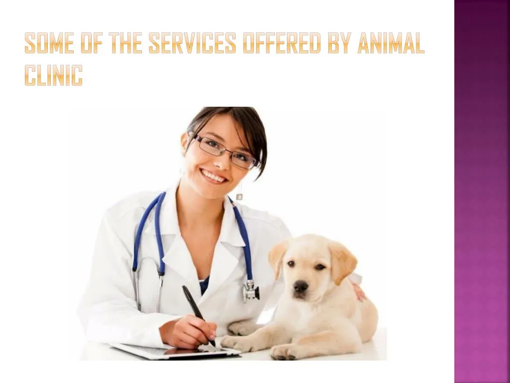 some of the services offered by animal clinic