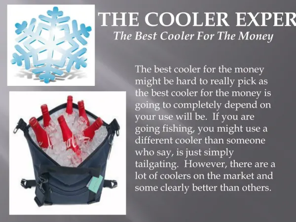 The Best Cooler For The Money