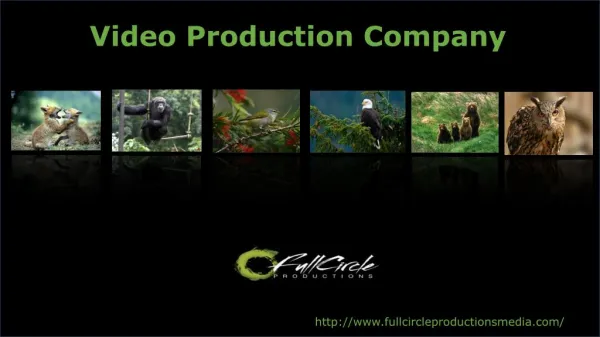 Video productions services company