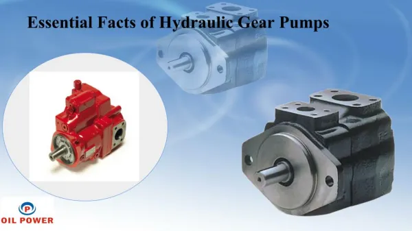Essential Facts of Hydraulic Gear Pumps