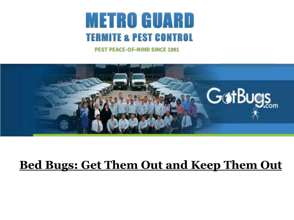 bed bugs get them out and keep them out