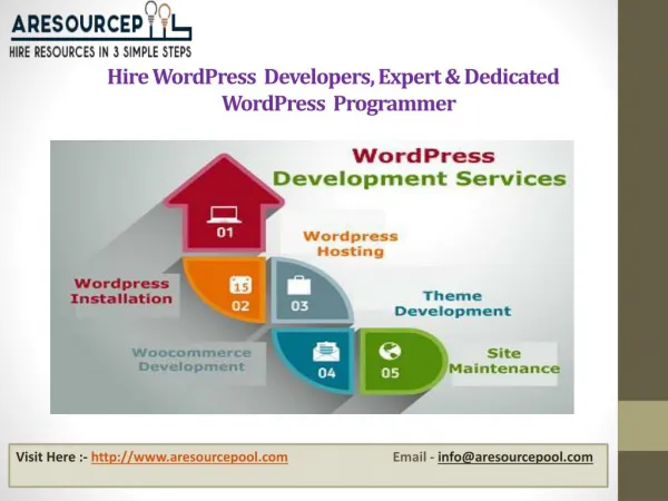 Hire Wordpress developers, Expert & Dedicated Wordpress Programmer