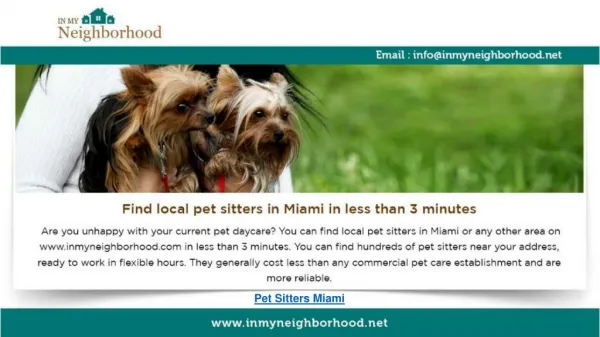 pet sitters in Miami