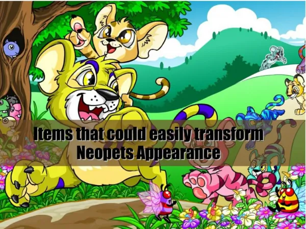 Items that could easily transform Neopets Appearance
